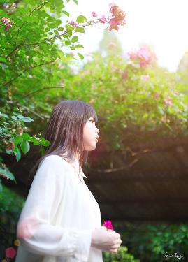 欧美大片在线看免费观看