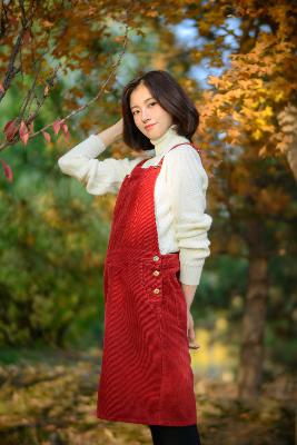 成全免费高清观看在线播放第5季